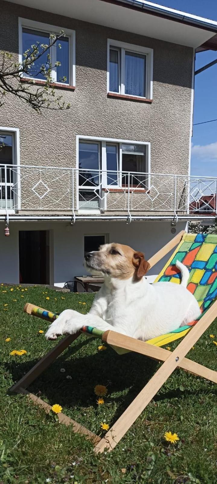 Willa Ada Karpacz Esterno foto